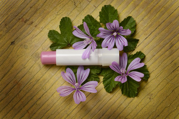 Lip balm Burrocacao Lippenpflegestift Läppbalsam مرهم الشفاه