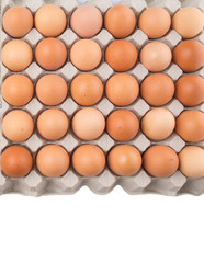 Chicken eggs in egg carton