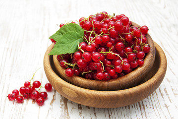 Redcurrant