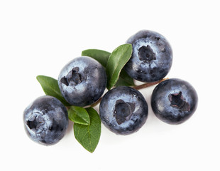 Mature bilberry