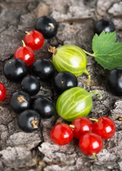 Fresh berries fruit background