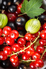 Fresh berries fruit background