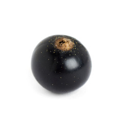 Black currant closeup