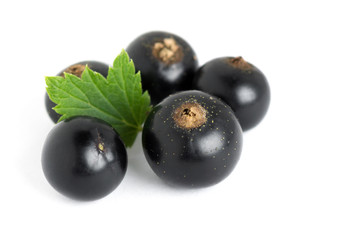 Black currants closeup