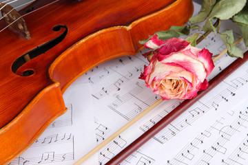 Fototapeta premium Classical violin on notes
