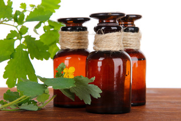 Blooming Celandine with medicine bottles