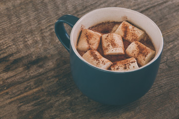 cup of cocoa with marshmellow and cinnamon