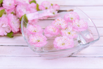 Beautiful fruit blossom on table close-up