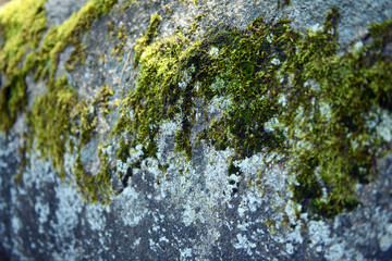 Stone texture close-up