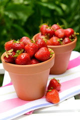 Ripe sweet strawberries in pots on table in garden