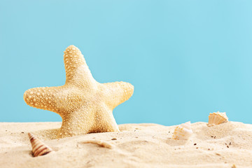 Fototapeta na wymiar Studio shot of a starfish in sand