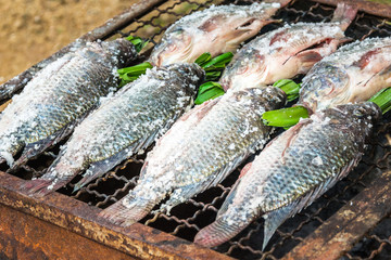 Grilling fish