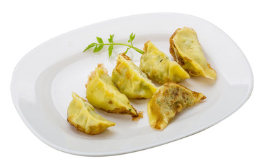 Japan dumplings - gyoza