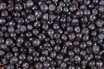 Blueberries fruit background