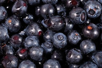Blueberries fruit close up