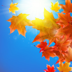 Delicate autumn sun with glare on blue sky.