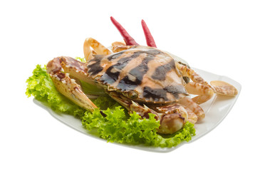 Red crab