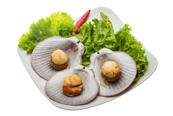 Grilled scallops