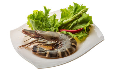 Tiger prawn