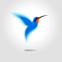 hummingbird