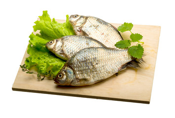 Crucian fish