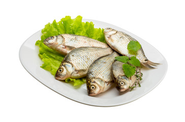 Crucian fish