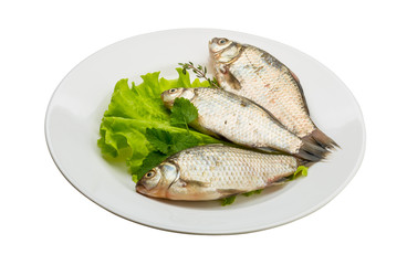 Crucian fish
