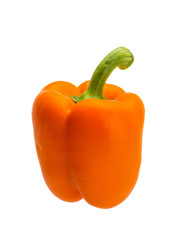 Orange Bulgarian pepper