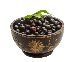 Black currant