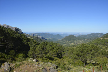 Fototapeta na wymiar Paisaje Sierra de Grazalema