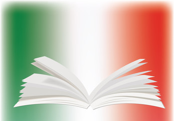 dizionario italiano