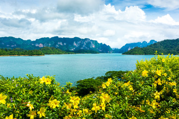 Green water dam in Thailand