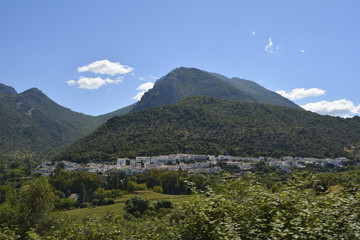 Fototapeta na wymiar Paisaje Sierra de Grazalema