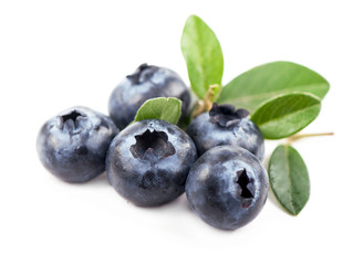 Mature bilberry