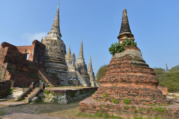 Fototapeta premium Parque histórico de Ayutthaya, Tailandia