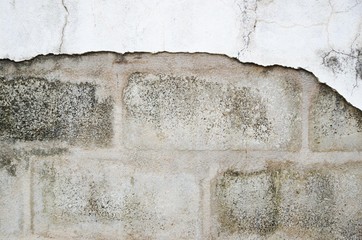 Old Grunge wall