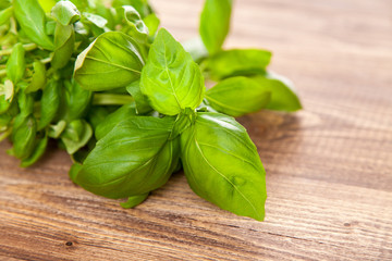 Basil leaf