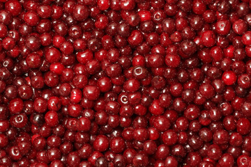 Background from a red ripe cherry