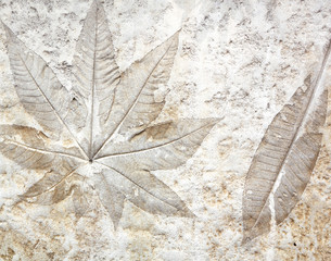 Leaf cement