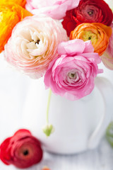 beautiful ranunculus flowers in vase