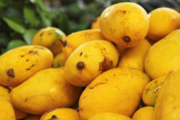 Ripe mango in the market