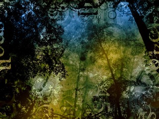 Obraz na płótnie Canvas mysterious forest magic fantasy background