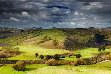 Tuinposter Landschap van Nieuw-Zeeland, Noordereiland © Dmitry Pichugin