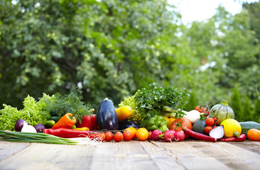 Fresh organic vegetables ane fruits on wood table  in the garden