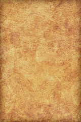Animal Skin Parchment Grunge Texture Sample