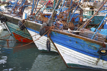 Fototapeta na wymiar Blue fishing boats