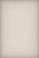 Artist's Cotton Duck Canvas Coarse Texture Sample