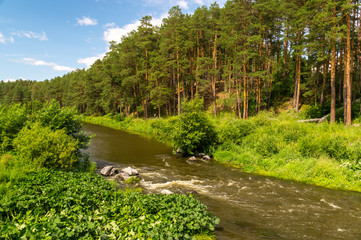 Уральская река в лесу