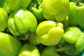 green pepper