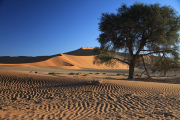 Fototapeta na wymiar Namibwüste